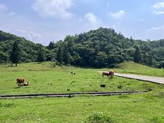 -山王坪喀斯特国家生态公园