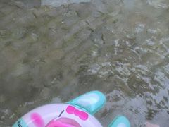 -碧水湾温泉