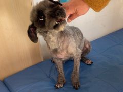 -宠颐生动物医院·心脏科·保险定点(锦阳分院)