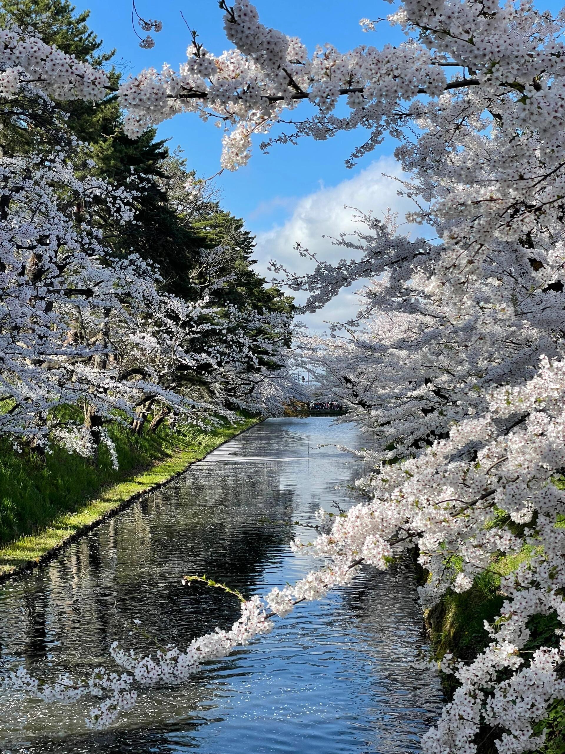 实况风景照片图片