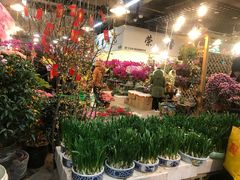 -双季花艺园艺市场(浦东店)