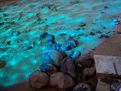 -望海观澜海景音乐餐吧(帆船基地店)