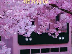 -金茂览秀城