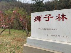 -金龙寺国家森林公园