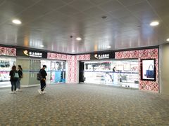 -日上免税行(浦东机场五店)