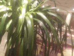 -吴中欢朋酒店-中餐厅