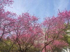 -白塘生态植物园