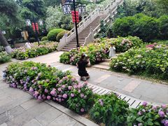 -阅江楼风景区