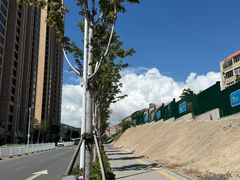 -汉丽斯巴西烤肉自助(市南店)