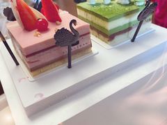 -BLACKSWAN黑天鹅(环球店)