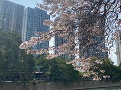 -红星桥(地铁站)