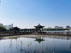 -莲花池公园