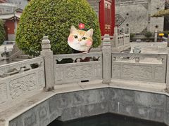 -西安市广仁寺