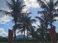 -亚龙湾国际玫瑰谷