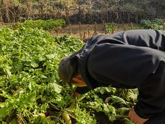 -姥家大锅台水库渔家