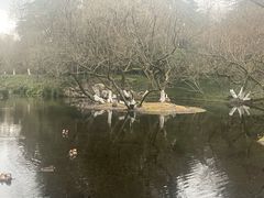 -西湖天地