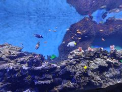 -横店影视城梦幻谷园区