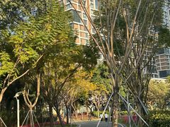 -宝藏绿洲(万象前海店)