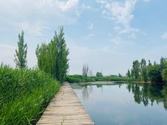 -白洋淀锅里口灶台鱼