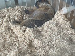-怪兽屋·羊驼·猫咖·狗咖(俊华广场店)