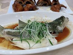 -大湾区鑫南酒家·粤菜(黄岐店)