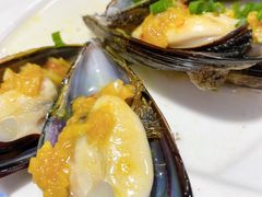 -魚當家