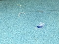 -上海中医药大学附属曙光医院(东部)