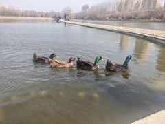 -前关湿地公园