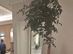 -鹿港小镇(黄金店)