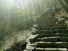 -大岭沟猕猴桃谷风景区