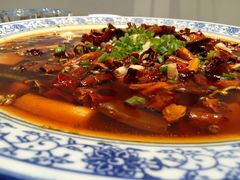 -院8里·少城记忆老川菜(宽窄巷子店)