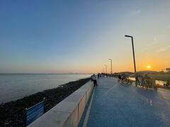 -滨海公园