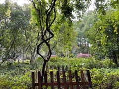 -徐家汇源景区-衡山公园