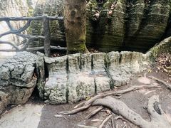 -梭布垭石林景区