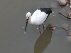 -南海子公园