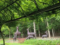 -东平国家森林公园