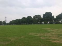 -漕湖湿地公园