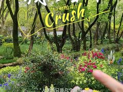 -上海共青森林公园