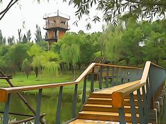 -东郊湿地公园