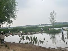 -绿堤公园