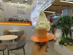 -野人先生现做冰淇淋(北京环宇荟店)