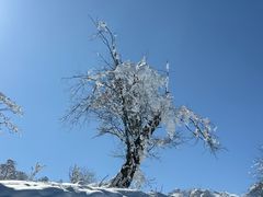 -太子岭滑雪场