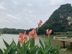 -星湖旅游景区七星岩