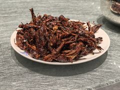 蚂蚱-金春禧(北国商城店)