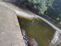 -东莞香市动物园