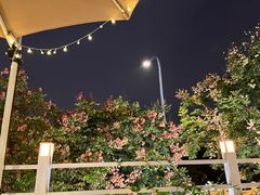 -芸鲜季·云南野生菌餐厅· 云南风物味研社(闵行店)