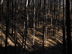 -驼梁风景区