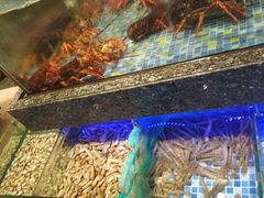 -乾隆美食·本帮菜(黄河路店)