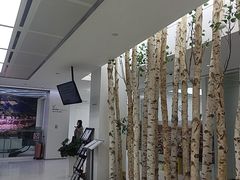 -极简口腔(总院)
