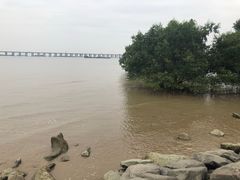 -宝安西湾红树林湿地公园